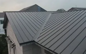 Dzīvojamā stāvoša šuvju metāla jumts